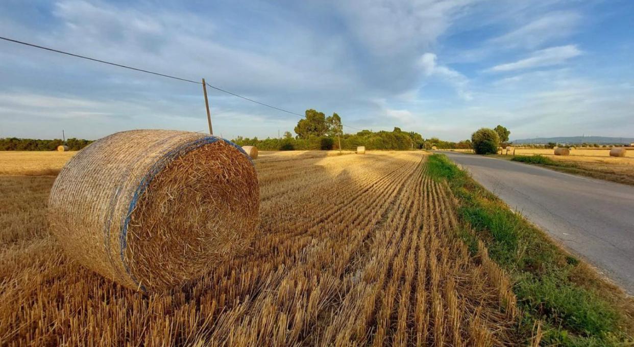 Il Cantuccio Cascina Esterno foto