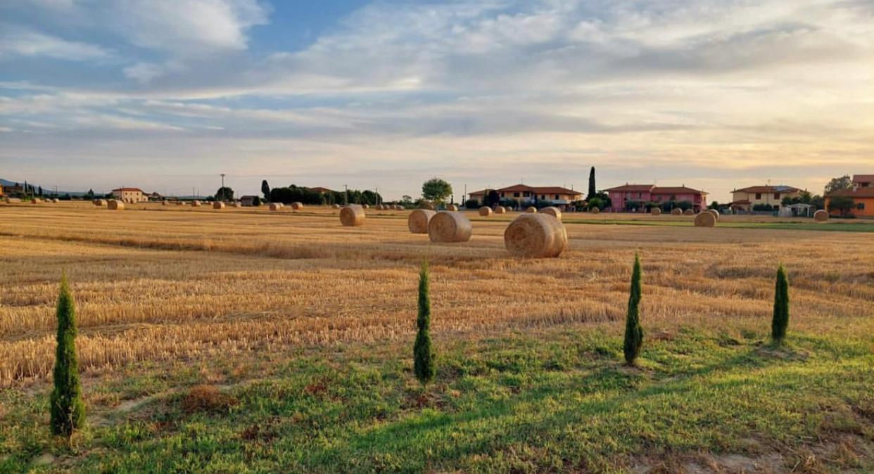 Il Cantuccio Cascina Esterno foto