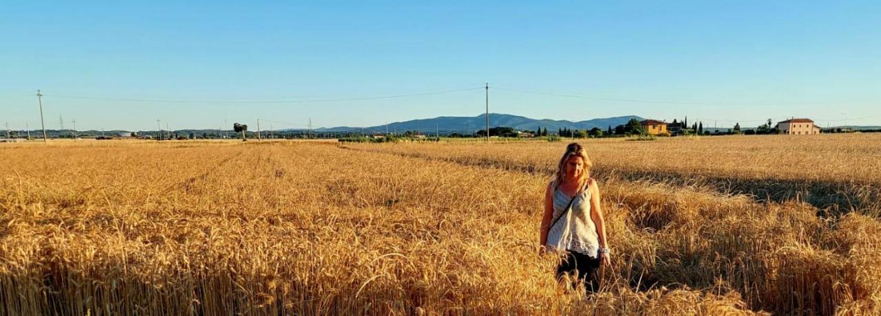 Il Cantuccio Cascina Esterno foto